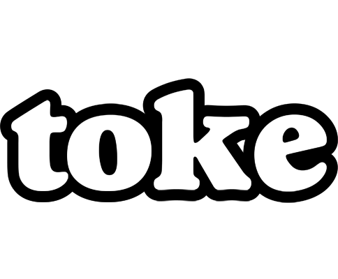 Toke panda logo