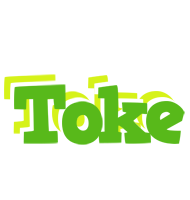 Toke picnic logo