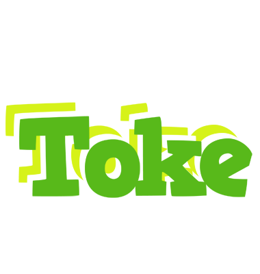Toke picnic logo