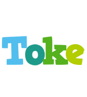 Toke rainbows logo