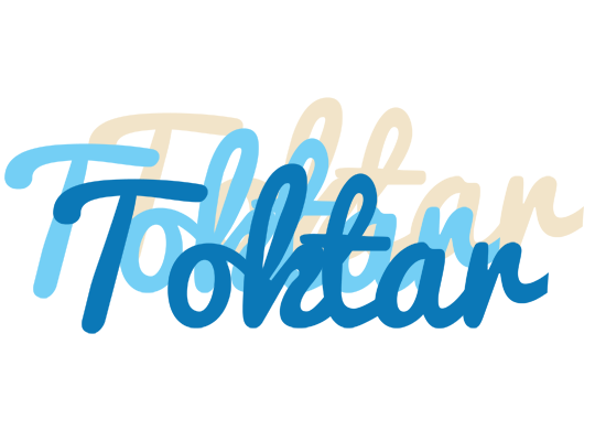 Toktar breeze logo
