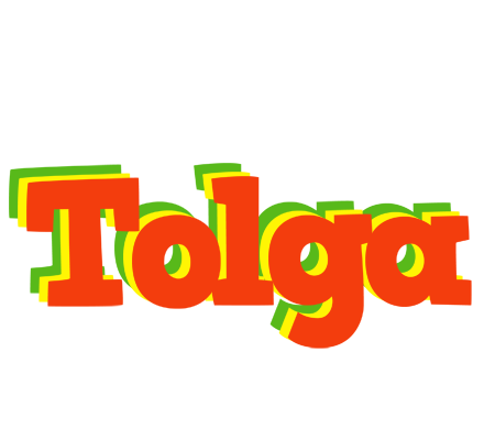 Tolga bbq logo