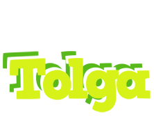 Tolga citrus logo