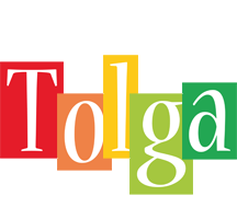 Tolga colors logo