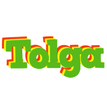 Tolga crocodile logo