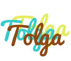 Tolga cupcake logo