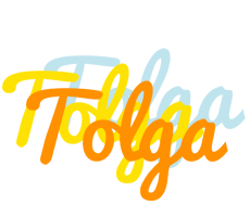 Tolga energy logo