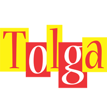 Tolga errors logo