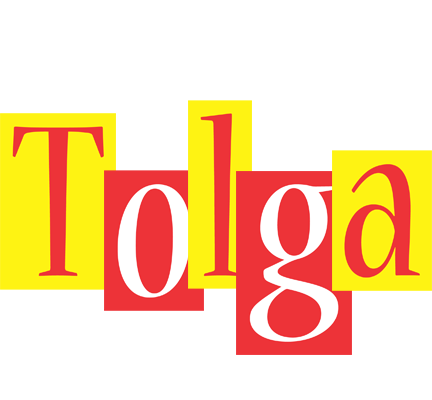 Tolga errors logo