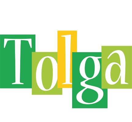 Tolga lemonade logo