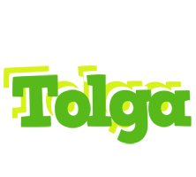 Tolga picnic logo