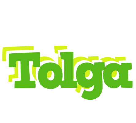 Tolga picnic logo
