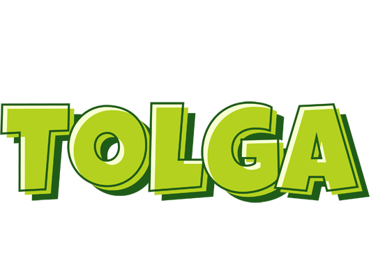 Tolga summer logo
