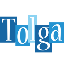 Tolga winter logo