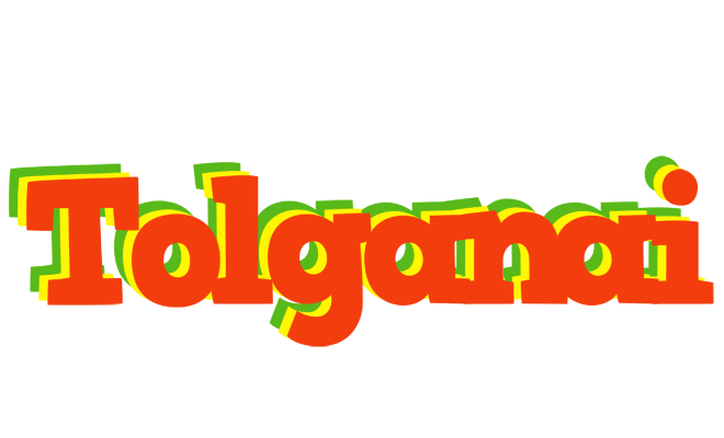Tolganai bbq logo