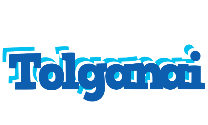 Tolganai business logo