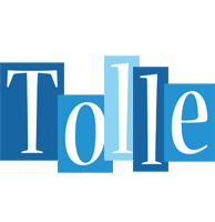 Tolle winter logo