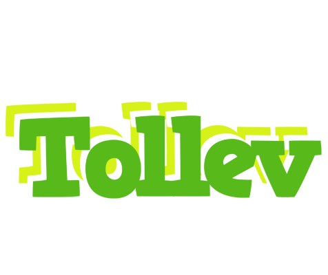 Tollev picnic logo