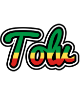 Tolv african logo