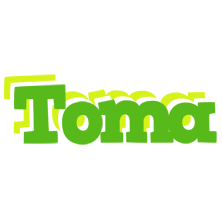 Toma picnic logo