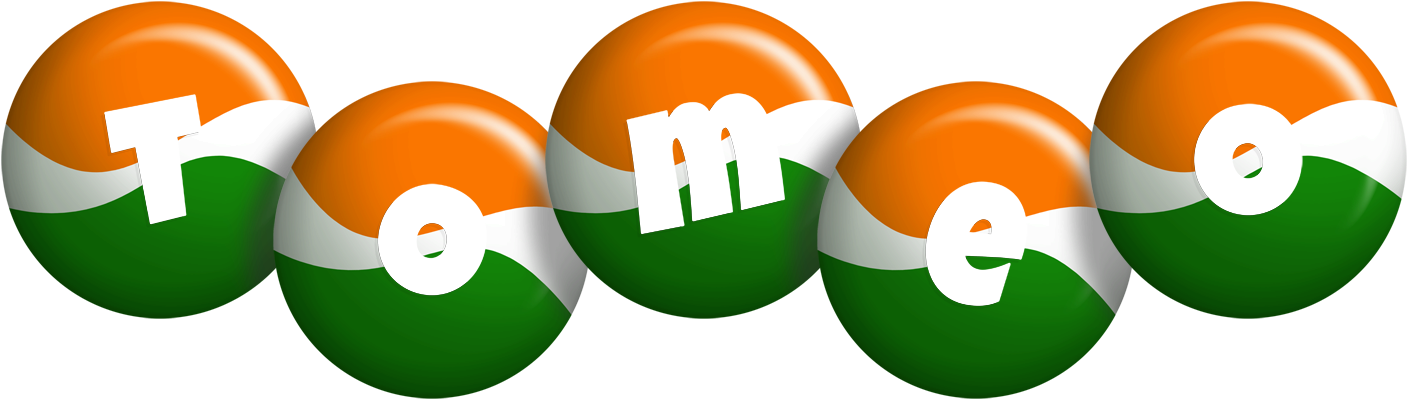 Tomeo india logo