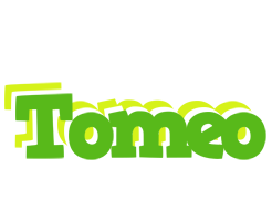 Tomeo picnic logo