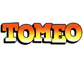 Tomeo sunset logo