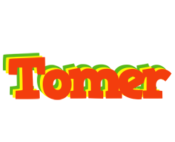 Tomer bbq logo