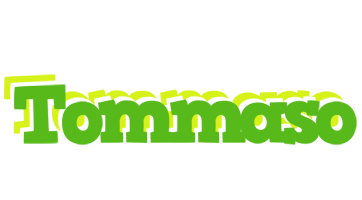 Tommaso picnic logo