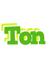 Ton picnic logo