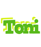 Toni picnic logo