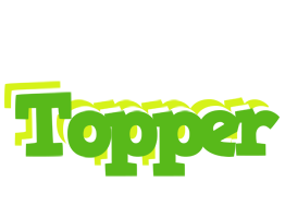 Topper picnic logo