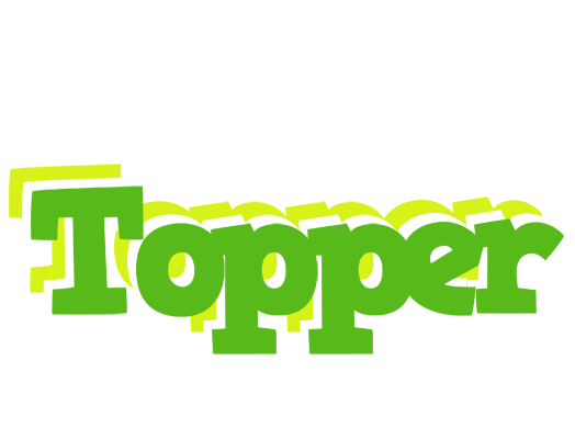 Topper picnic logo