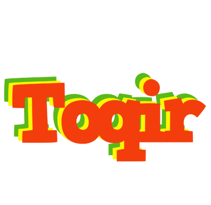 Toqir bbq logo