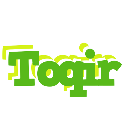 Toqir picnic logo