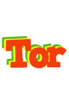 Tor bbq logo