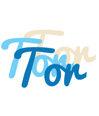 Tor breeze logo