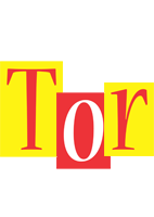 Tor errors logo
