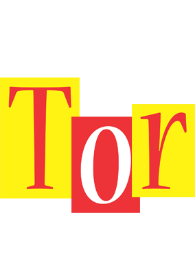 Tor errors logo