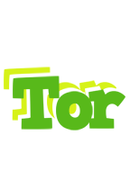 Tor picnic logo