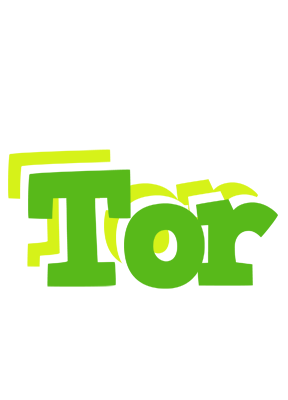 Tor picnic logo