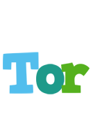 Tor rainbows logo