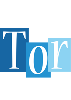 Tor winter logo