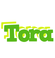 Tora picnic logo