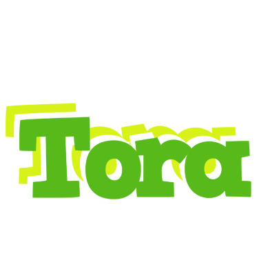 Tora picnic logo