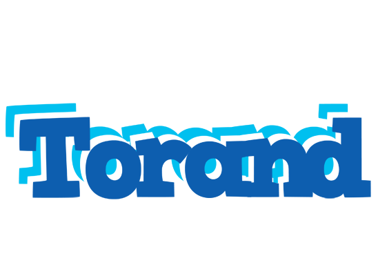 Torand business logo