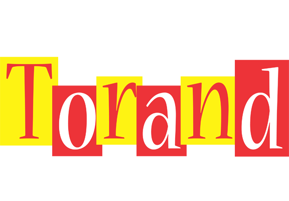 Torand errors logo