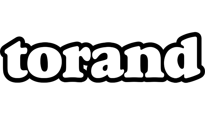 Torand panda logo