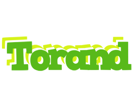 Torand picnic logo