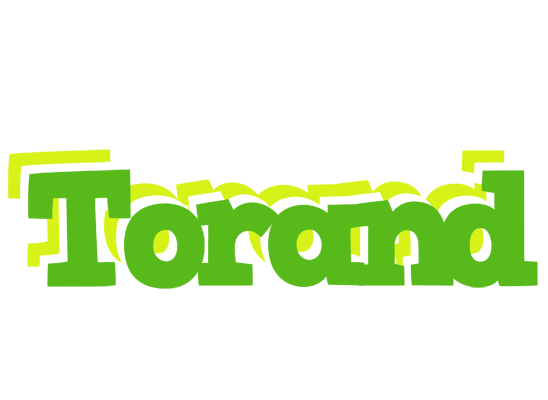 Torand picnic logo